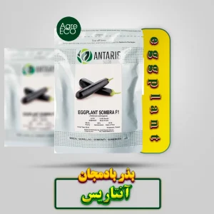 بذر بادمجان سمبرا F1 سمینیس