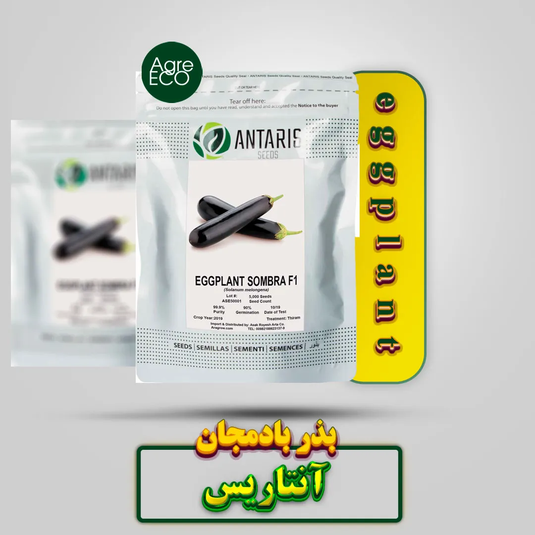 بذر بادمجان سمبرا F1 آنتاریس