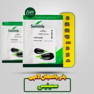 بذر بادمجان لامپی 1574 سمینیس