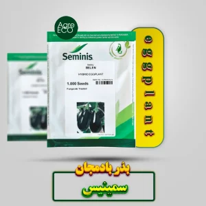 بذر بادمجان بلن سمینیس