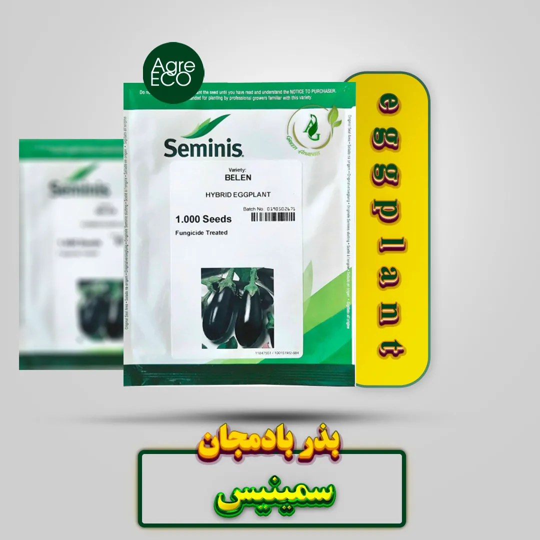 بذر بادمجان بلن سمینیس