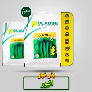 بذر خیار الیور کلوز