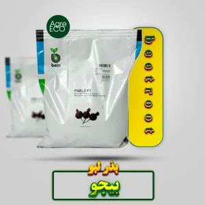 بذر لبو بیجو