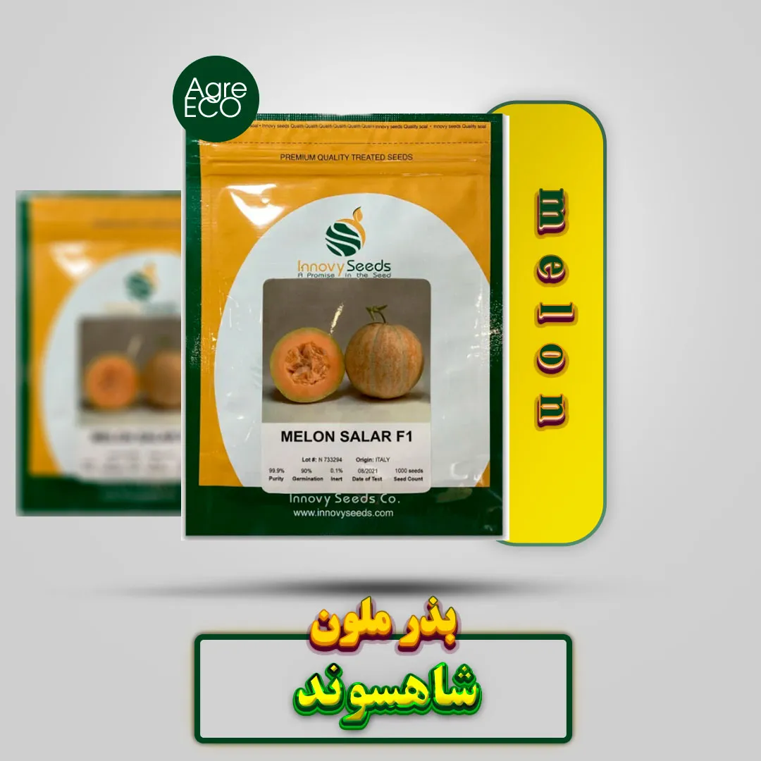 بذر ملون شاهسوند اینوی سیدز