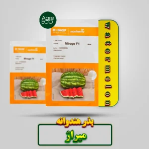 بذر هندوانه میراژ باسف