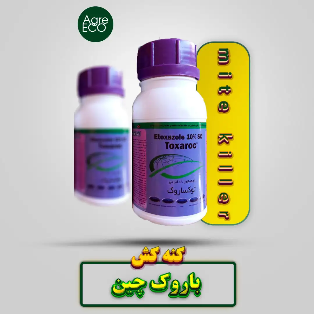 باروک ( اتوکسازول ) چین سرای سپند