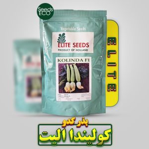 بذر کدو کولیندا الیت (Kolinda F1) – محصول شرکت Elite Seeds