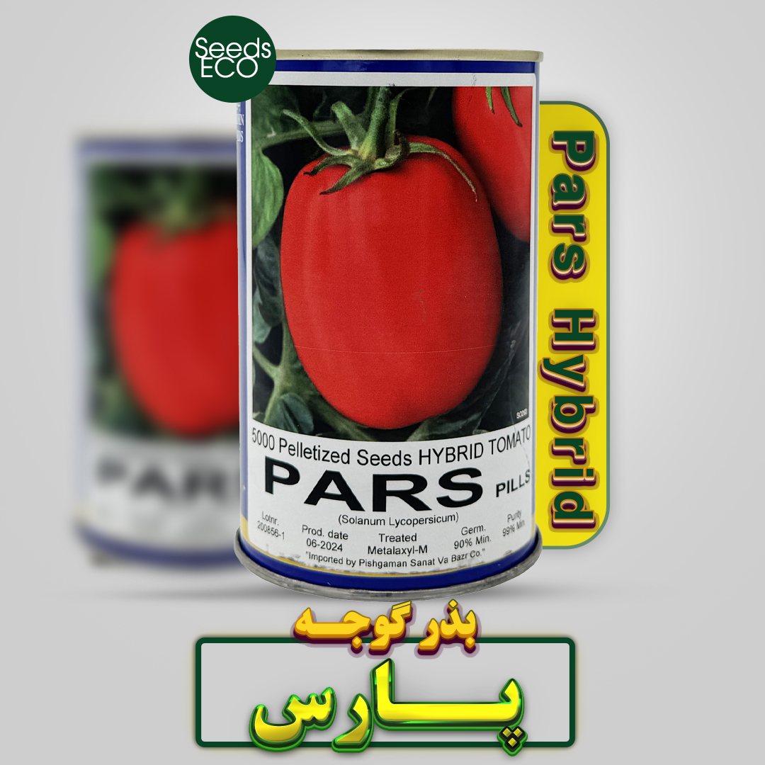 بذر گوجه فرنگی هیبرید پارس (PARS F1) – بسته ۵۰۰۰ عددی